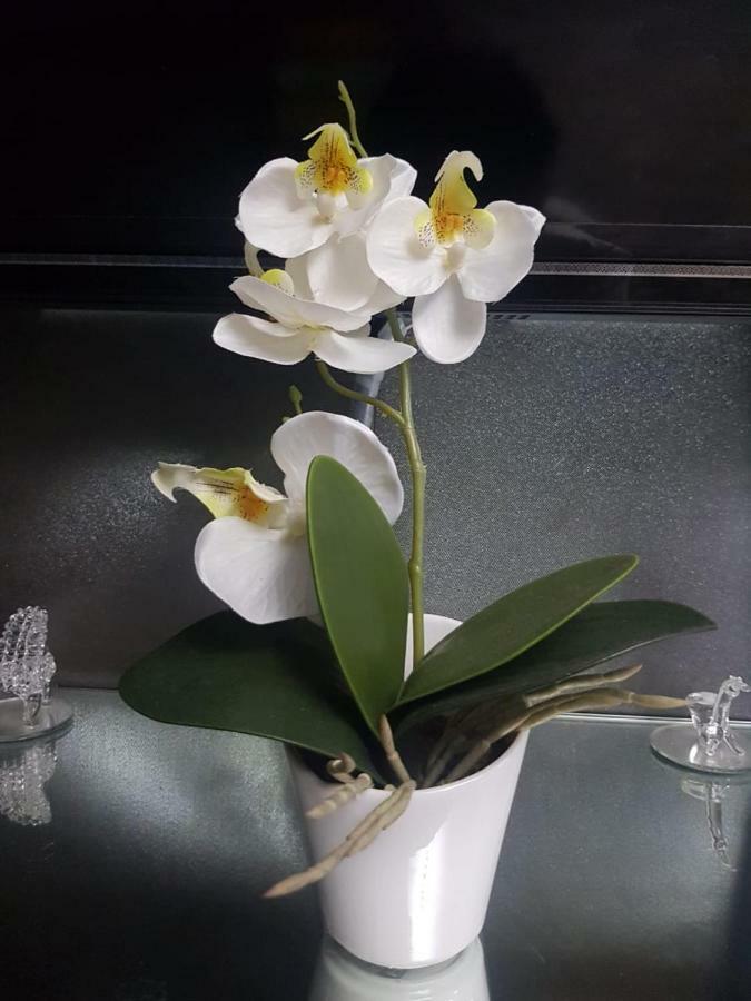 Your Home @ Princeton Residences, New مانيلا المظهر الخارجي الصورة